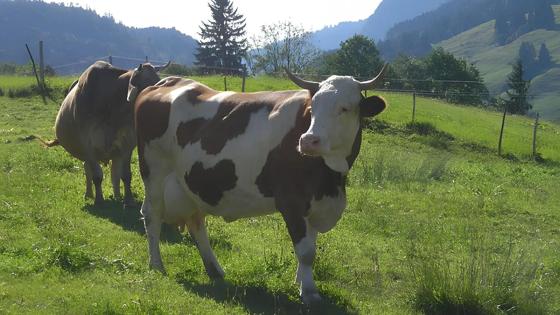 Gaestehaus Vogler Oberstdorf-Kornau Germany