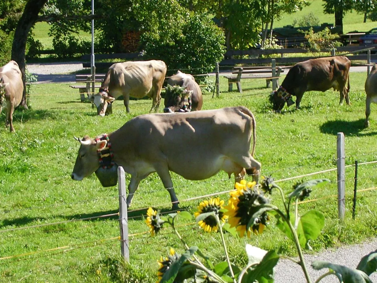 Gaestehaus Vogler Oberstdorf-Kornau Oberstdorf